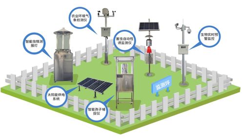 科技賦能農業 網絡技術研發與服務如何讓智慧之花綻放